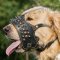 Soft Muzzle for Golden Retriever Breed with Spikes and Studs