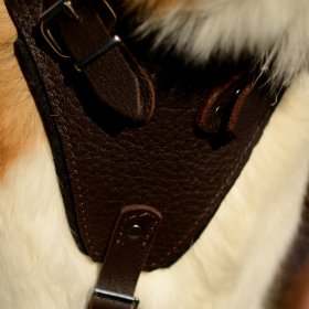SPECIAL! Extra Large Brown Leather Harness for Dogs K9