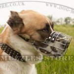 Bestseller Dog Muzzle for Central Asian Shepherd Dog