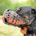 Rottweiler Dog Leather Muzzle with "Flame" Painting