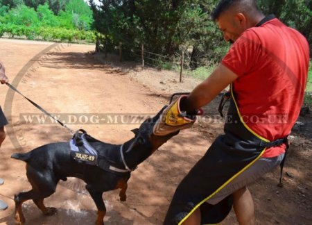 Thick Leather Dog Training Apron with Groin Protector Add-on