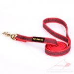 Fashionable Red Dog Lead UK For Everyday Walks 0.8" Width