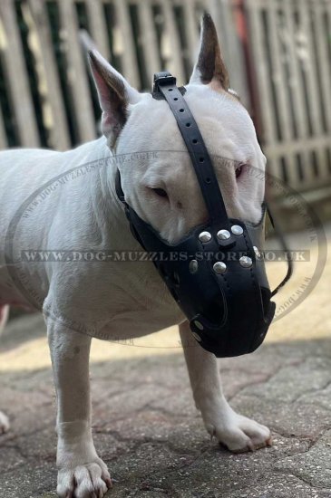 Strong Leather Dog Muzzle for K9 Dogs Attack Training