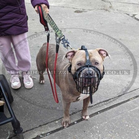 Strong Metal Wire Basket Dog Muzzle "For Everyone"