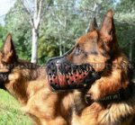 The Best German Shepherd Dog Muzzle K9 with Painting "Flame"