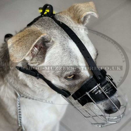 Akita and Husky Dog Wire Basket Muzzle | Husky Muzzles for Sale