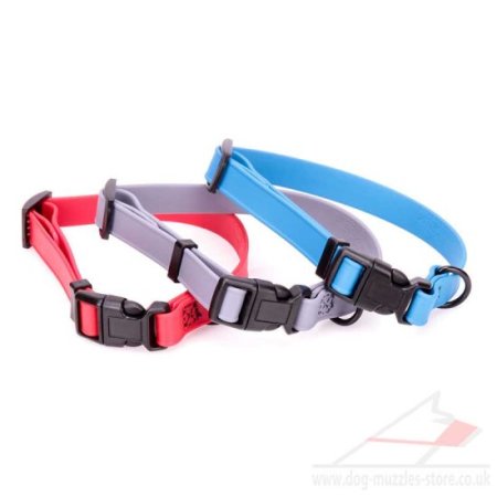 Durable Waterproof Dog Collar with Quick Release 0.6"