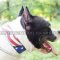 Leather Dog Collars with Painting "American Pride" for Amstaff