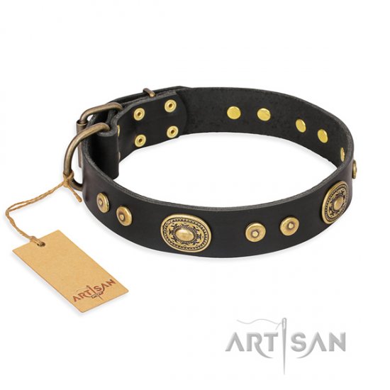 Best Black Dog Collar FDT Artisan 'Golden Radiance' 1 1/2 inch