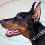 Doberman Collar with Pyramid Studs