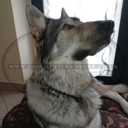 "Helper" Herm Sprenger Dog Collar of Stylish Black Steel