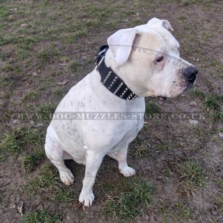 Extra Wide Dog Collar for Large Dog with Spikes and Pyramids