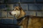 Strong And Comfortable Nylon Siberian Husky Dog Collar