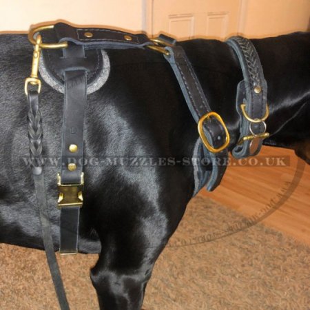 Favorite Large Leather Dog Harness UK Best Seller