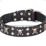 Artisan Leather Pirate Dog Collar with Brass Skulls and Studs