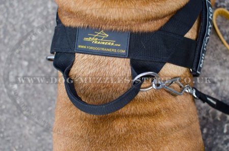 Bullmastiff Dog Harness to Prevent Pulling, Multitasking