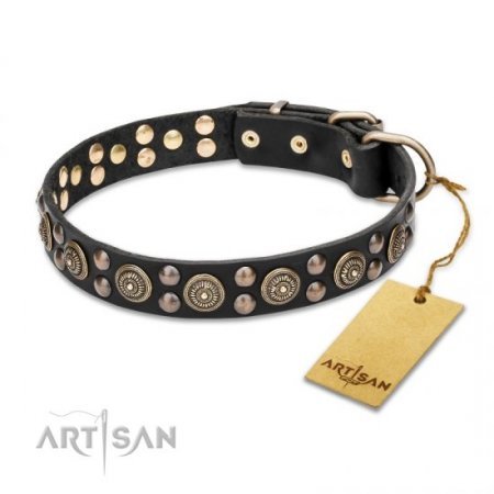 Impressive Soft Black Leather Dog Collar With Studs FDT Artisan