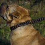 Shar Pei Training Dog Collar Choker - Leather Chain