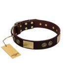 FDT Artisan Soft Brown Leather Dog Collar "Bow-Wow Effect"