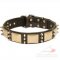 Designer Leather Dog Collar With Brass Plates and Nickel Spikes