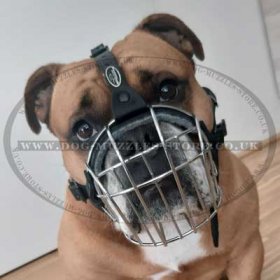 English Bulldog Muzzle Wire Basket