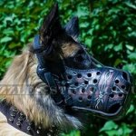 The Best Dog Training Muzzle for Active Tervuren Dogs