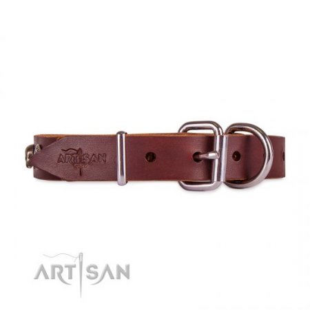 Adorable Dark Brown Leather Dog Collar With Skulls FDT Artisan