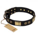 Best Leather Dog Collar with Studs FDT Artisan 'Ancient Egypt'