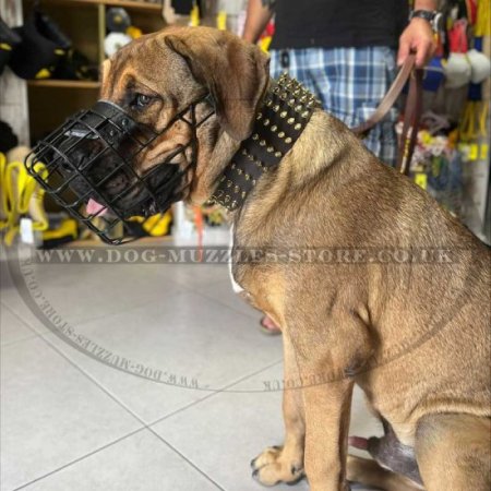 Special Rubberized Basket Dog Muzzle for Cane Corso