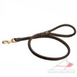 Round Leather Dog Lead for Strong Dog Training