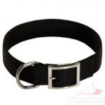 Nylon Dog Collar with Buckle for Daily Dog Walking and Training