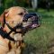 Dog Basket Muzzle for Labrador | Dog Wire Muzzle