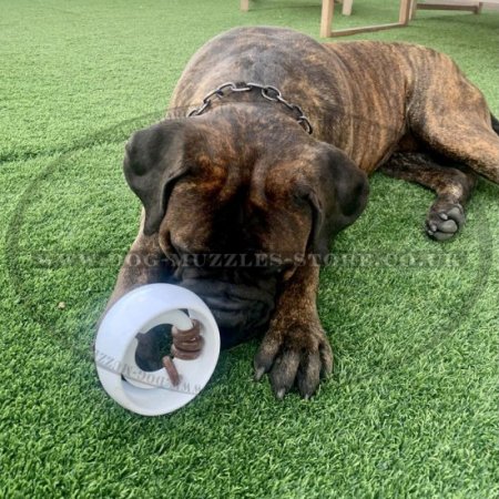 Strong And Durable Dog Treat Toy Dispenser "TREAT Ringer Orb"