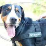 Anti Pulling Dog Harness for Swiss Mountain Dog UK Bestseller!