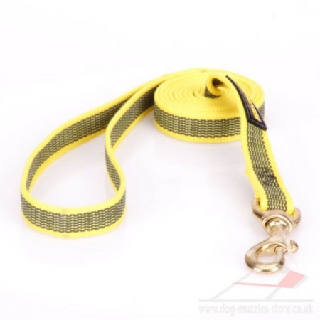 NEW! Trendy Yellow Dog Design Leash For Dog Daily Walk