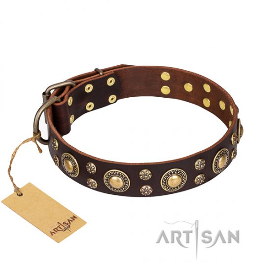 Best Brown Studded Dog Collar FDT Artisan 'Flower Melody' - Click Image to Close