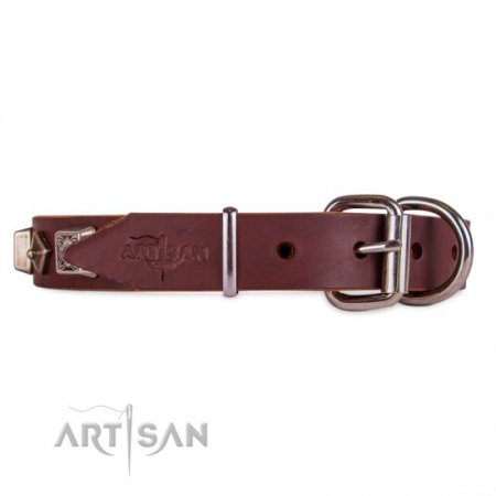 Best Brown Thick Studded Dog Collar FDT Artisan For Active Walk