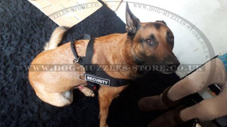Non Pull Dog Harness UK Bestseller with Front Clip and Ring