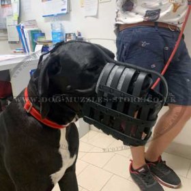 Great Dane Muzzle for Dog Walking | Leather Dog Muzzle