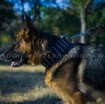 Best Studded Dog Collar for German Shepherd