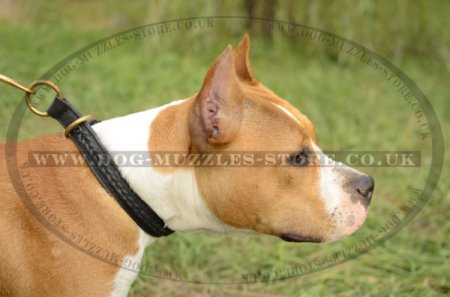 "Rattlesnake" Braided Leather Choker Dog Collar For Staffy
