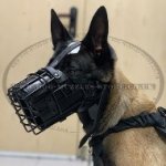 Belgian Malinois Dog Muzzle Basket Padded with Leather & Rubber