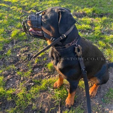 Strong Metal Wire Basket Dog Muzzle "For Everyone"