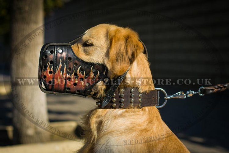 Leather Golden Retriever Muzzle with Handmade Painting