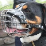 Comfortable Dog Muzzle Basket Type for Swiss Mountain Dog Size