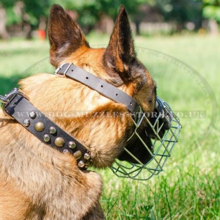 Belgian Malinois Muzzles | Belgian Shepherd Muzzles Best Choice