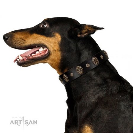 Adorable Black Leather Dog Collar "Pirate’s Spell" FDT Artisan