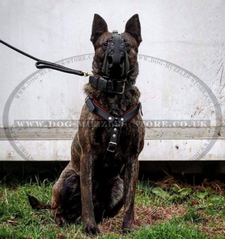 Agitation muzzle online