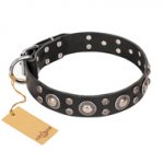 Handmade Dog Collar FDT Artisan with Studs 'Vintage Necklace'