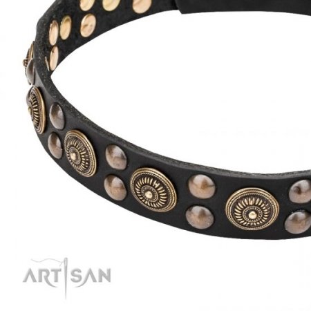 Impressive Soft Black Leather Dog Collar With Studs FDT Artisan